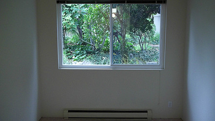 Dining Room Window